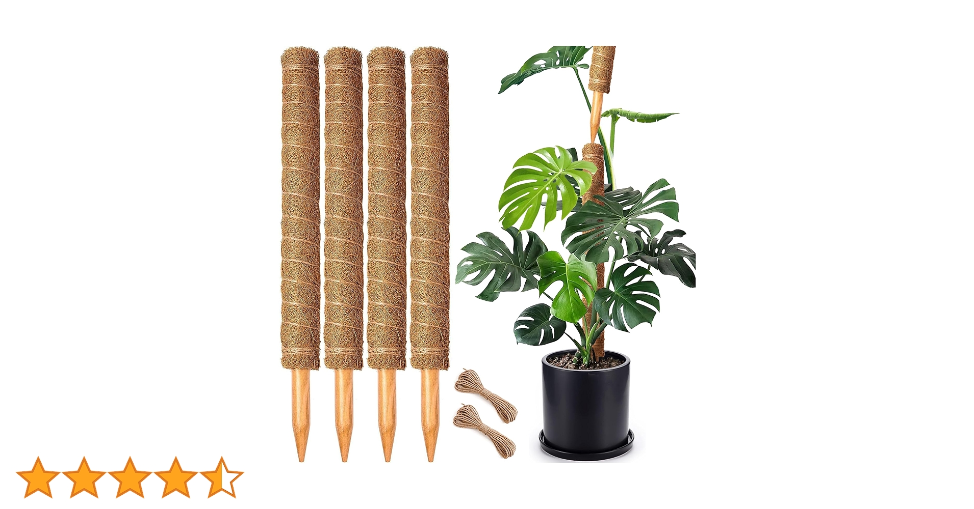 【Fumiti】21-22 MOSS STICK【70 SW Fumiti】21-22 MOSS STICK【70 SW Amazon.com : 4 Pack 22 Inch